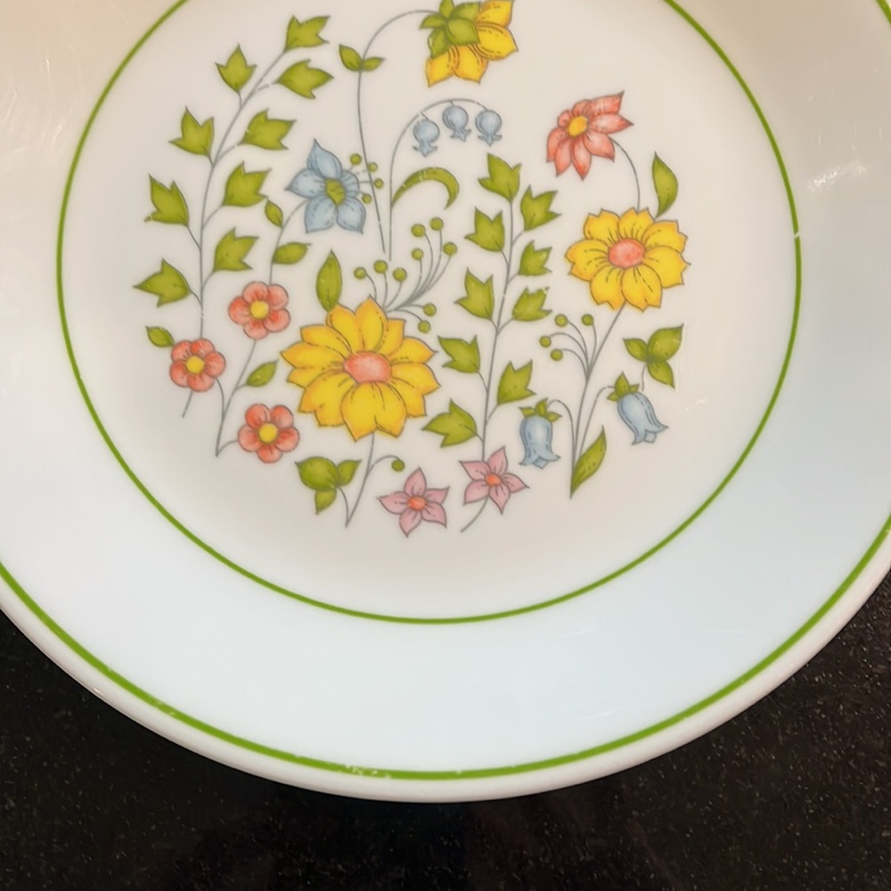 (1) Salad Plates "Meadow" (Corelle) by CORNING - Picture 7 of 7